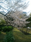 D1000159.jpg