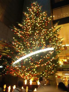 DVC00246.jpg